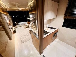 Upperhouse At Orchard Boulevard (D10), Apartment #458273711